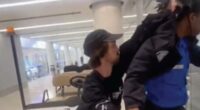 Aussie traveler gets wild at LAX, allegedly yanks agentâs hair